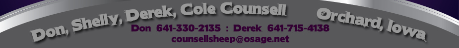 Counsell Club Lambs