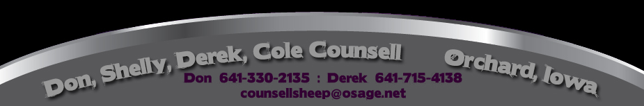 Counsell Club Lambs