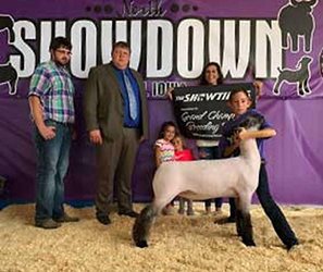 Counsell CLub Lambs Winners