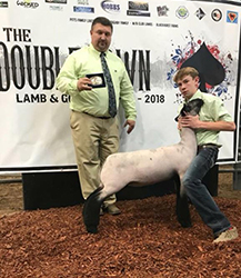 Counsell CLub Lambs Winners